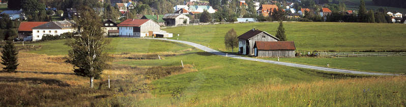 Bavarian forest