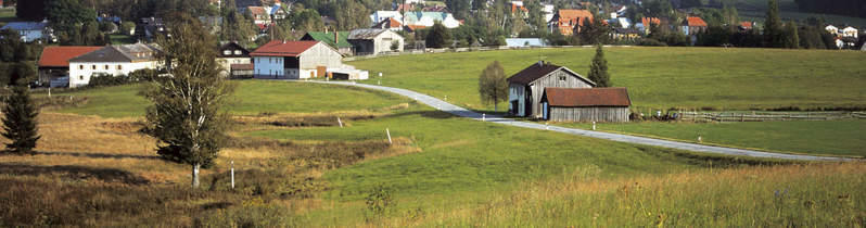 Bavarian forest